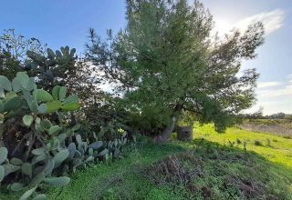 Terreno agricolo in Vendita a SAN GIOVANNI SUERGIU   zona IS URIGUS